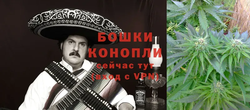 Каннабис OG Kush  Краснозаводск 